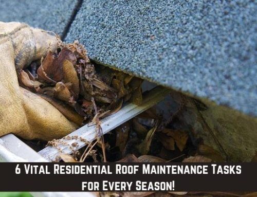 6 Vital Residential Roof Maintenance Tasks for Every Season!
